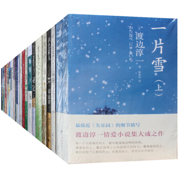 渡邊淳一套裝29種30冊 鈍感力 女人這東西+丈夫這東西+失樂園+泡沫+無影燈+麻醉不可告人的夜冰紋 pdf epub mobi 下载