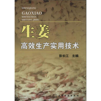 生薑高效生産實用技術 pdf epub mobi 下载