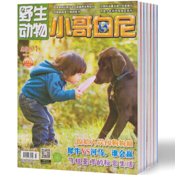 2018全年訂閱 小哥白尼(野生動物畫報)雜誌 9月起訂 1年12期正版暢銷全套 pdf epub mobi 下载
