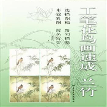 兰竹-工笔花鸟画速成 pdf epub mobi 下载