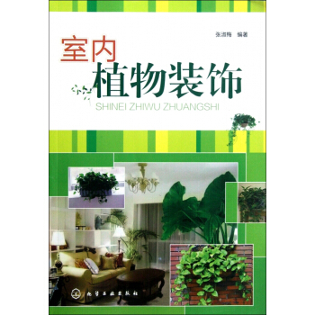 室内植物装饰 pdf epub mobi 下载