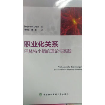 职业化关系巴林特小组的理论与实践 pdf epub mobi 电子书 下载
