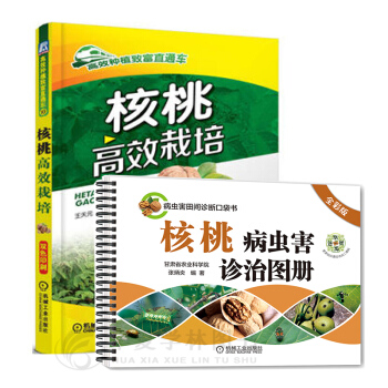 核桃种植技术大全 核桃高效栽培+核桃病虫害诊治图册(全彩版) 果树种植 核桃种植书籍