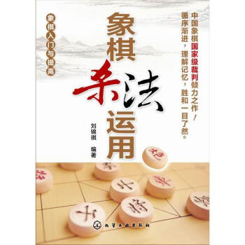 象棋杀法运用 pdf epub mobi 下载
