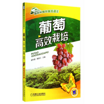 正版 葡萄高效栽培 圖說葡萄栽培關鍵技術 2014葡萄栽培種植大全 高效種植緻富直通車 果 pdf epub mobi 下载