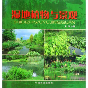 濕地植物與景觀