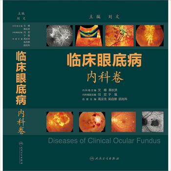 正版现货 临床眼底病.内科卷 文峰 易长贤主编 人民卫生出版社