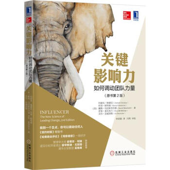 (正版特价)关键影响力：如何调动团队力量（原书第2版） （美）约瑟夫 格…|229655 pdf epub mobi 电子书 下载