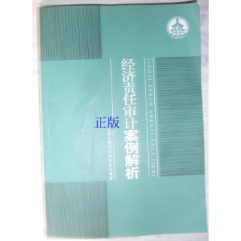 經濟責任審計案例解析 pdf epub mobi 下载