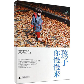 不吼不叫龙应台人生三书孩子之你慢慢来爱的安德烈目送作者如何教育孩子的书家庭教育书 家教法 pdf epub mobi 下载