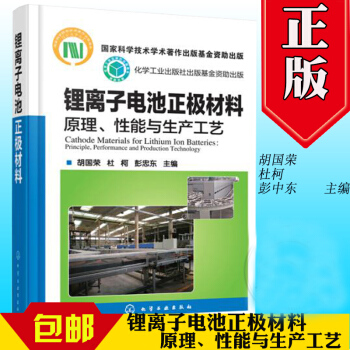 锂离子电池正极材料原理性能与生产工艺锂离子电池正极材料生产技术专业书