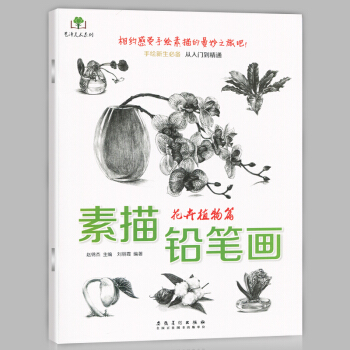 正版现货 素描铅笔画 花卉植物篇 画桃花月季百合等画法 手绘新生从入门到精通 美术爱好者 pdf epub mobi 下载