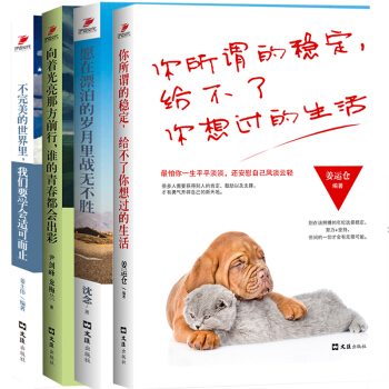 4册你所谓的稳定给不了你想过的生活不完美的世界里我们要学会适可而止向着光亮前行愿在漂泊的岁月战无不胜 pdf epub mobi 下载