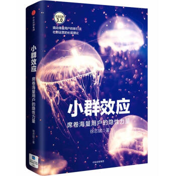 小群效應 pdf epub mobi 下载