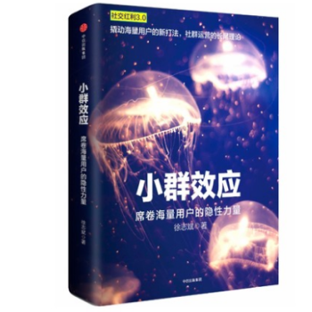 包郵 小群效應：席捲海量用戶的隱性力量 經濟營銷*銷書籍 新華書店正版*銷書籍 pdf epub mobi 下载