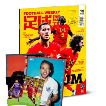 足球周刊杂志2018年第14期总第740期 pdf epub mobi 下载
