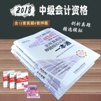 環球2018中級會計職稱考試曆年真題及押題模擬試捲一本通（共三冊） pdf epub mobi 下载