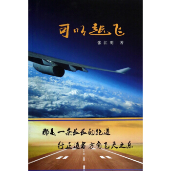 可以起飞 pdf epub mobi 下载