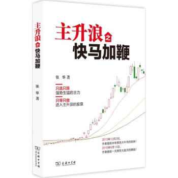 主升浪之快马加鞭 pdf epub mobi 下载