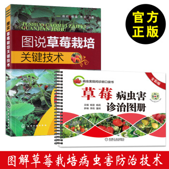 图说草莓栽培关键技术+草莓病虫害诊治图册(全彩版) 草莓种植书籍 种植栽培病虫害防治技术