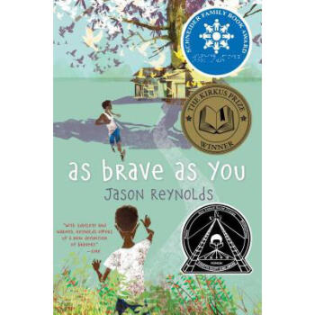 As Brave as You pdf epub mobi 電子書 下載