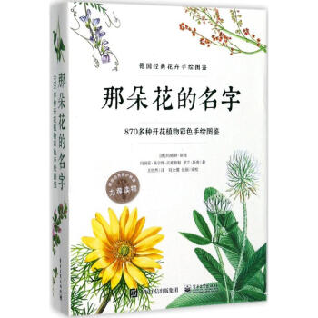 那朵花的名字 pdf epub mobi 下载