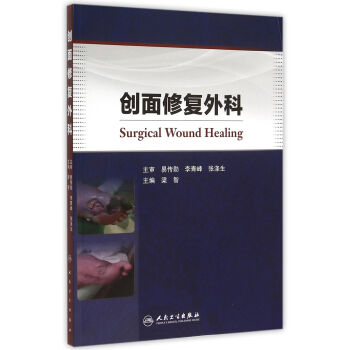 创面修复外科 pdf epub mobi 电子书 下载
