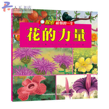 花的力量 pdf epub mobi 下载