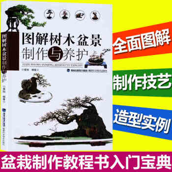 圖解樹木盆景製作與養護 盆景入門教程書 盆景製作技巧參考書 樹木盆景造型藝術書 盆景養護 pdf epub mobi 下载