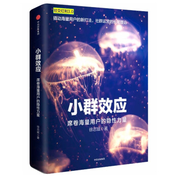 小群效應：席捲海量用戶的隱性力量 周鴻禕、徐楊、孫振耀、梁寜作序 ，李開復、張誌東等 pdf epub mobi 下载