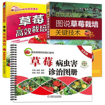 正版(全3册)草莓病虫害诊治图册(全彩版)+草莓高效栽培(高效种植致富直通车)+图说草莓