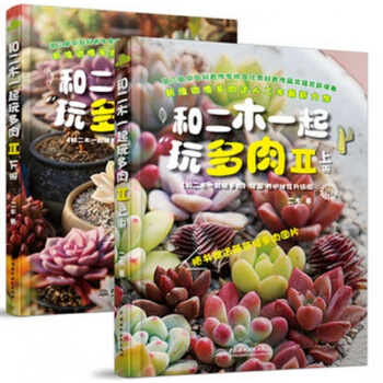 【正版書籍現貨】和二木一起玩多肉II 上下2冊 全兩冊 全套套裝 新浪多肉植物種植達人二 pdf epub mobi 下载