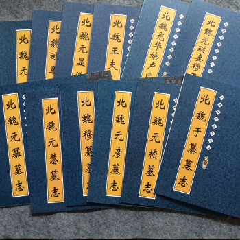 北魏經典墓誌叢帖套裝12冊魏碑墓誌銘集書法毛筆字帖墓誌銘精選（12冊） pdf epub mobi 下载