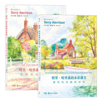 包邮 特里?哈里森的水彩课I:基础技法全解析 基础技法全解析 水彩画技法从入门到精通 pdf epub mobi 下载