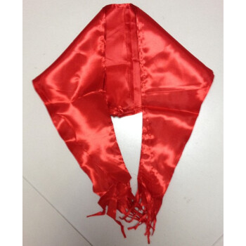 缎面红领巾：145cm*85cm*85cm，老师用、成人用 pdf epub mobi 下载