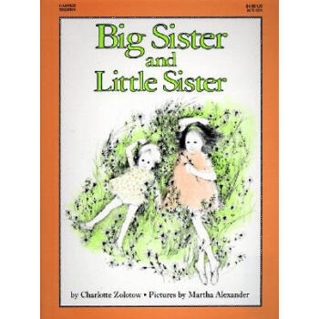 Big Sister and Little Sister大姐与小妹 [平装] [4岁及以上] pdf epub mobi 下载