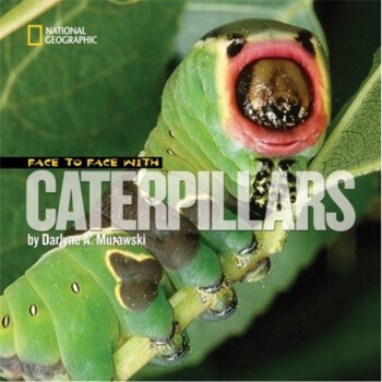 Face to Face with Caterpillars [平裝] [7歲及以上] pdf epub mobi 電子書 下載
