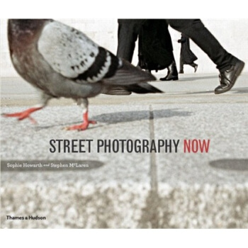 Street Photography Now当代街头摄影 英文原版 [平装] pdf epub mobi 下载