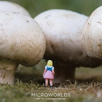 Microworlds 微觀世界 [平裝] pdf epub mobi 下载