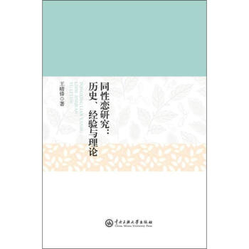 同性恋研究 历史 经验与理论 王晴锋 婚恋与两性 书籍 pdf epub mobi 下载