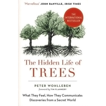 【中商原版】樹的秘密生命 The Hidden Life of Trees 英文原版 彼得沃雷本