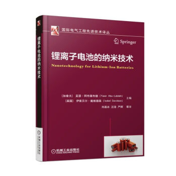 锂离子电池的纳米技术（锂电池 石墨烯 储能 电动汽车 纳米技术） pdf epub mobi 下载