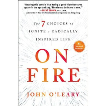 On Fire The 7 Choices to Ignite a Radically Ins pdf epub mobi 下载