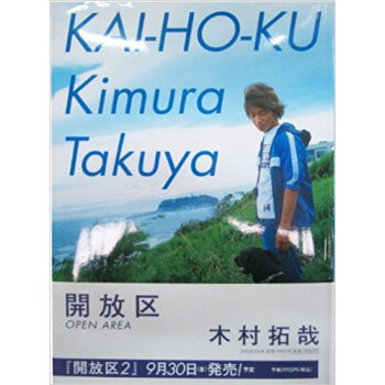 開放区 pdf epub mobi 下载