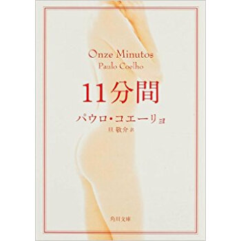 11分間 pdf epub mobi 下载