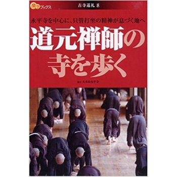道元禪師の寺を歩く 永平寺を中心に、隻管打坐の精神が息づく地へ pdf epub mobi 下载
