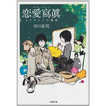 恋愛写真 もうひとつの物語 pdf epub mobi 下载