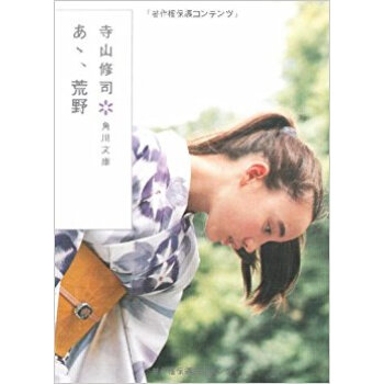 あゝ、荒野 pdf epub mobi 下载