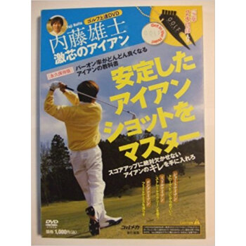 Dvd 激芯のアイアン安定したアイアンシ pdf epub mobi 电子书 下载