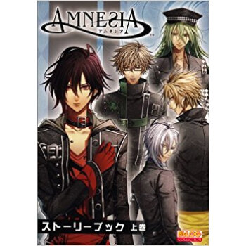 アムネシアストーリーブック 上巻 pdf epub mobi 下载